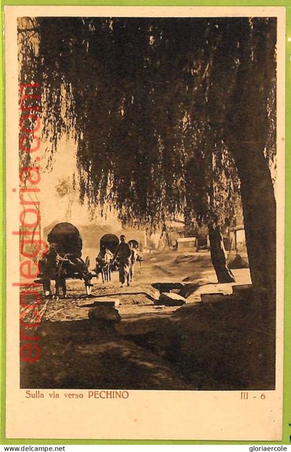 af3959 - CHINA - Vintage POSTCARD - Pechino