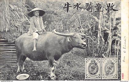 China - Chinese peasant and buffalo - Publ. unknown