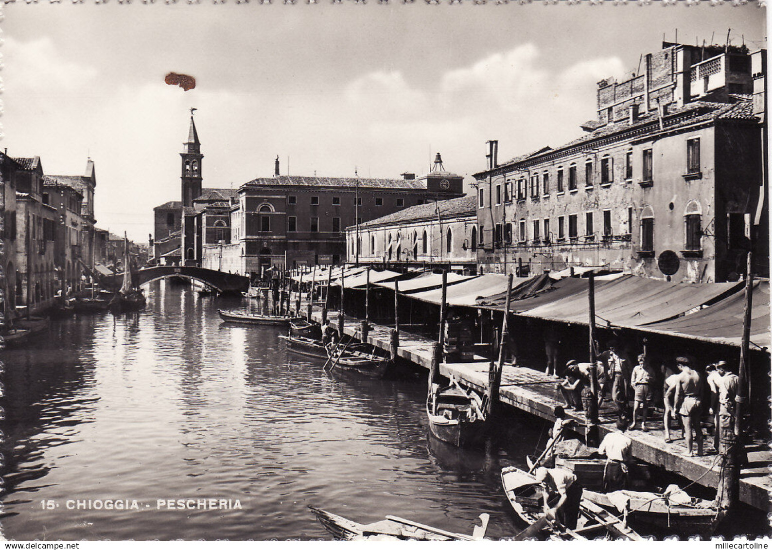 #CHIOGGIA: PESCHERIA