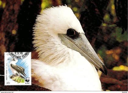 1990 - CHRISTMAS ISLAND - Abbott's Booby - Fou d'Abbott WWF