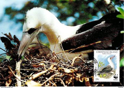 1990 - CHRISTMAS ISLAND - Abbott's Booby - Fou d'Abbott WWF