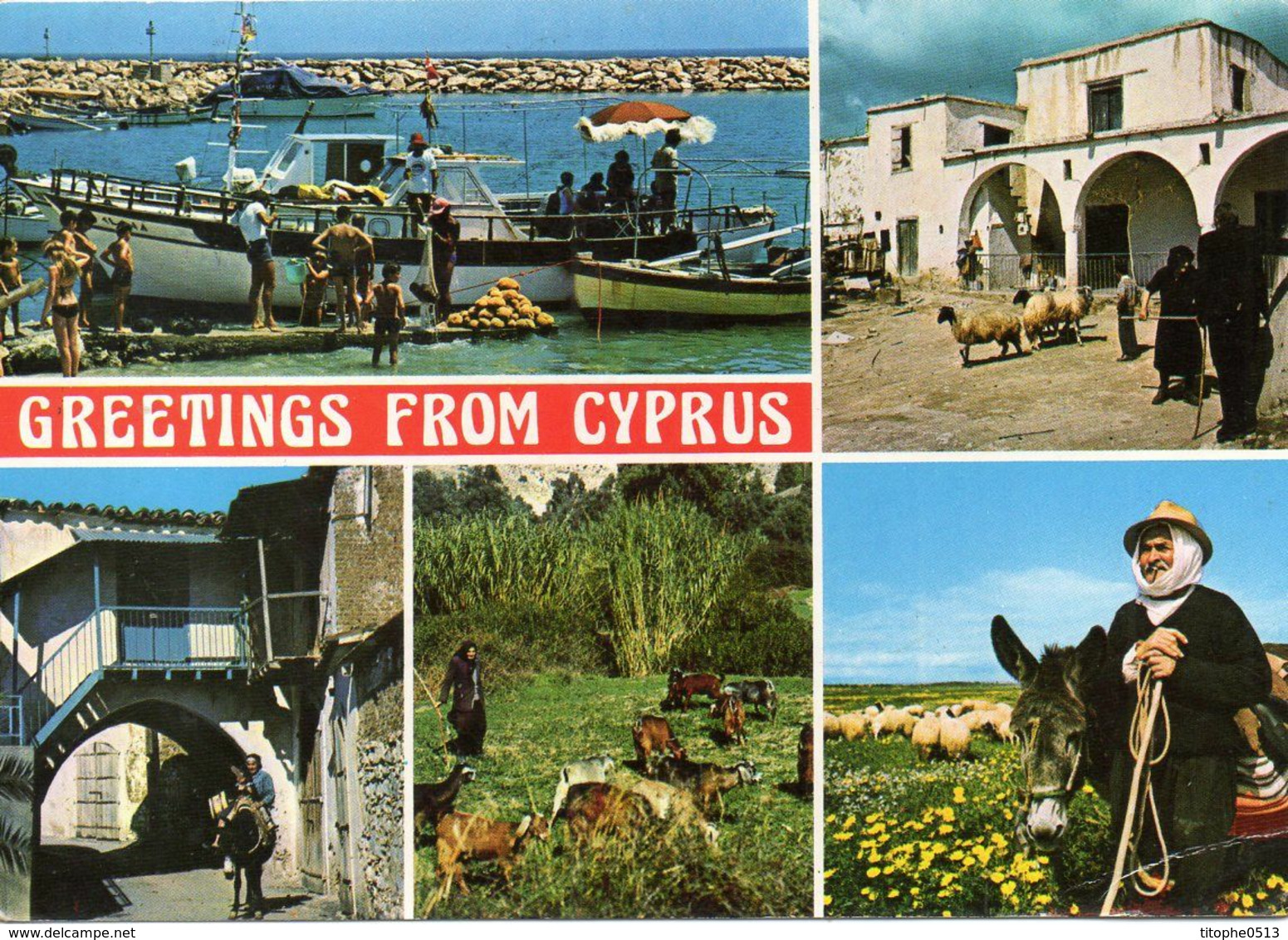 CHYPRE. Carte postale écrite. Souvenir de Chypre.