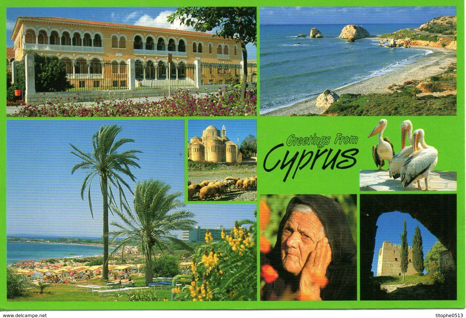 CHYPRE. Carte postale écrite. Souvenir de Chypre.