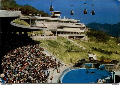 Hong Kong - Ocean Park