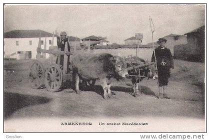 ARMENEHOR UN ARABAT MACEDONIEN (ATTELAGE DE BOEUFS BEAU PLAN)1918