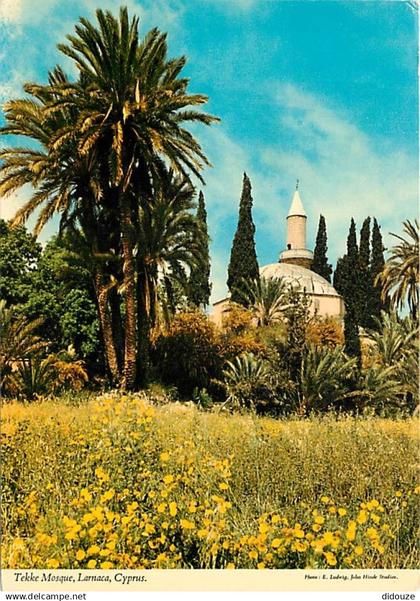 Chypre - Cyprus - Larnaca - Tekke Mosque - CPM - Voir Scans Recto-Verso