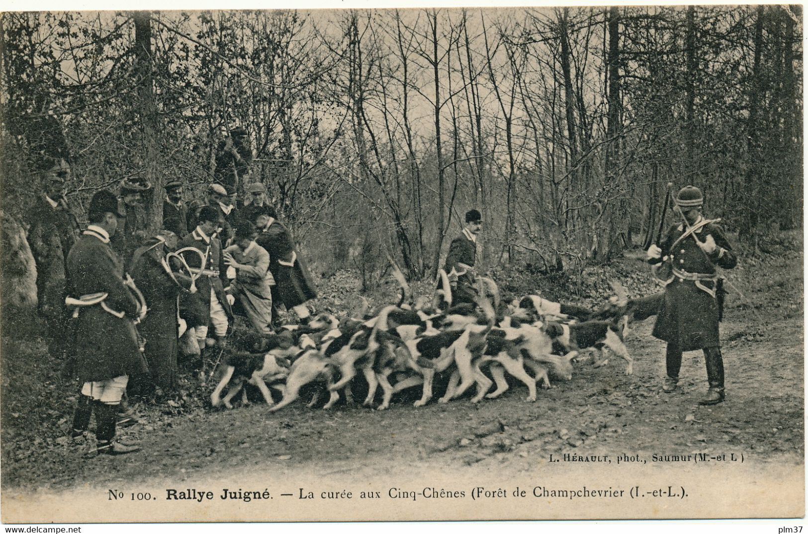 CLERE LES PINS, Champchevrier - Chasse à Courre, Rallye Juigné