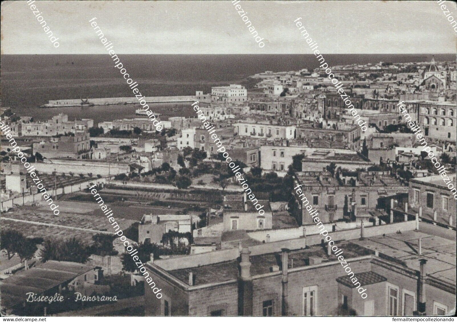 cm457 cartolina bisceglie panorama provincia di bari puglia