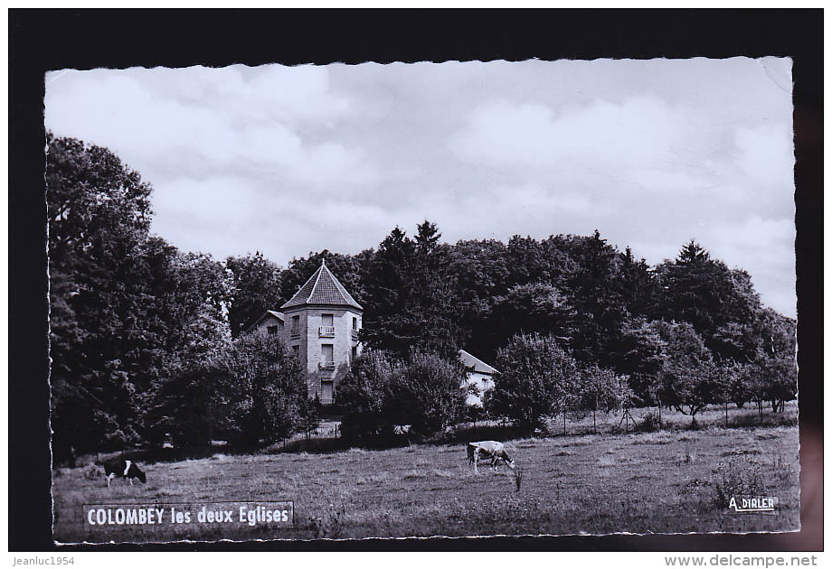 COLOMBEY LES DEUX EGLISES LA BOISSERIE