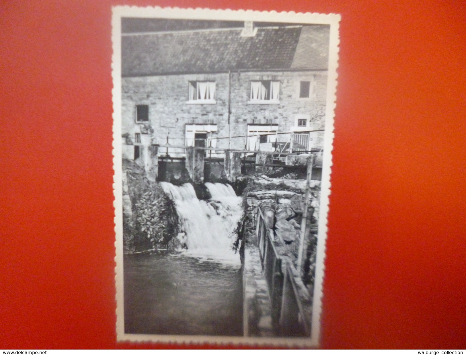 Comblain-au-Pont :Pisciculture au Moulin(C89)