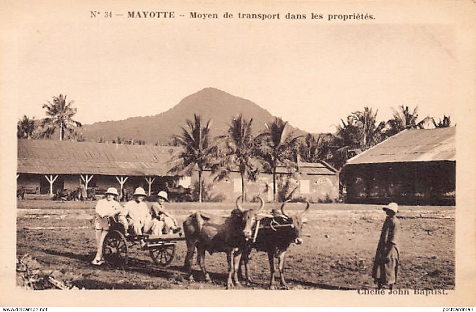 Comores - MAYOTTE - Le moyen de transport dans les propriétés - Cliché John Baptist - Ed. Issoufali 34