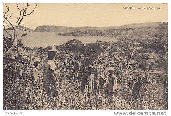 COMORES ... MOHELI ... LA COTE OUEST