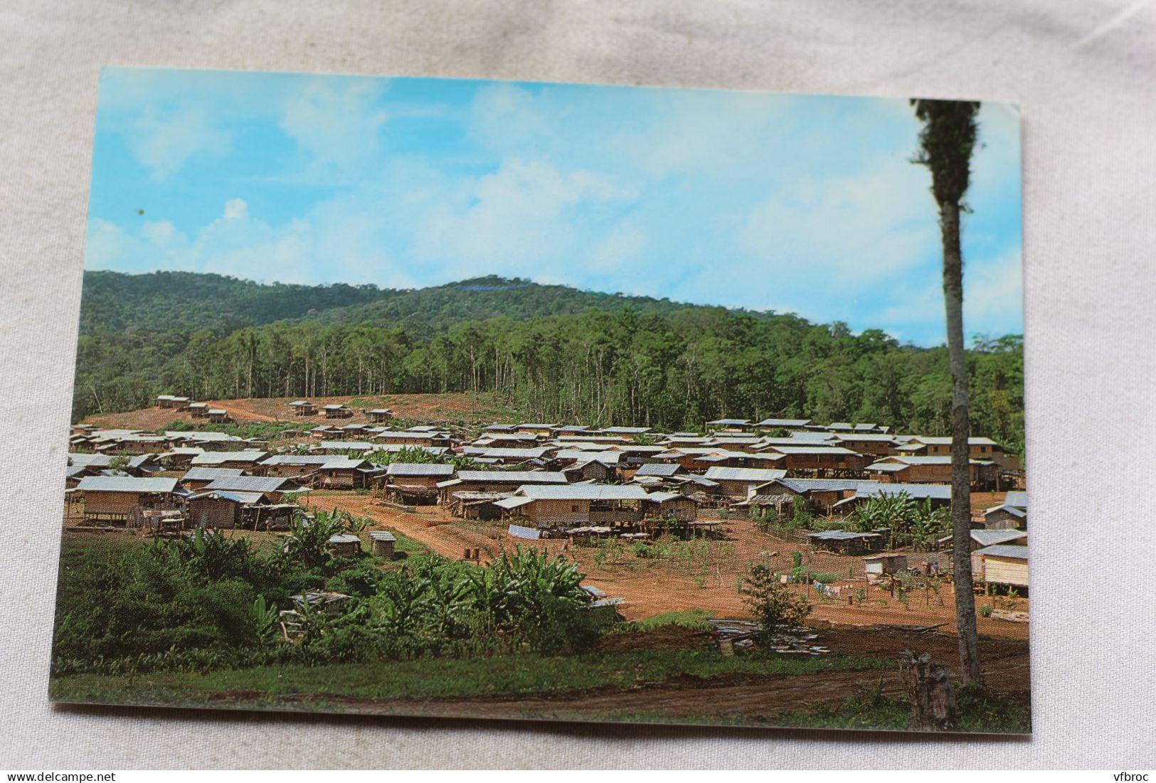 Comte, cacao, village des Hmong, Guyane