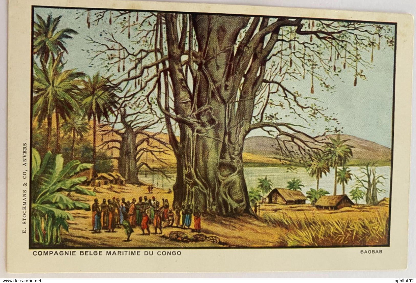 !!! CONGO BELGE, CPA NEUVE ILLUSTRÉE, COMPAGNIE BELGE MARITIME DU CONGO : BAOBAB