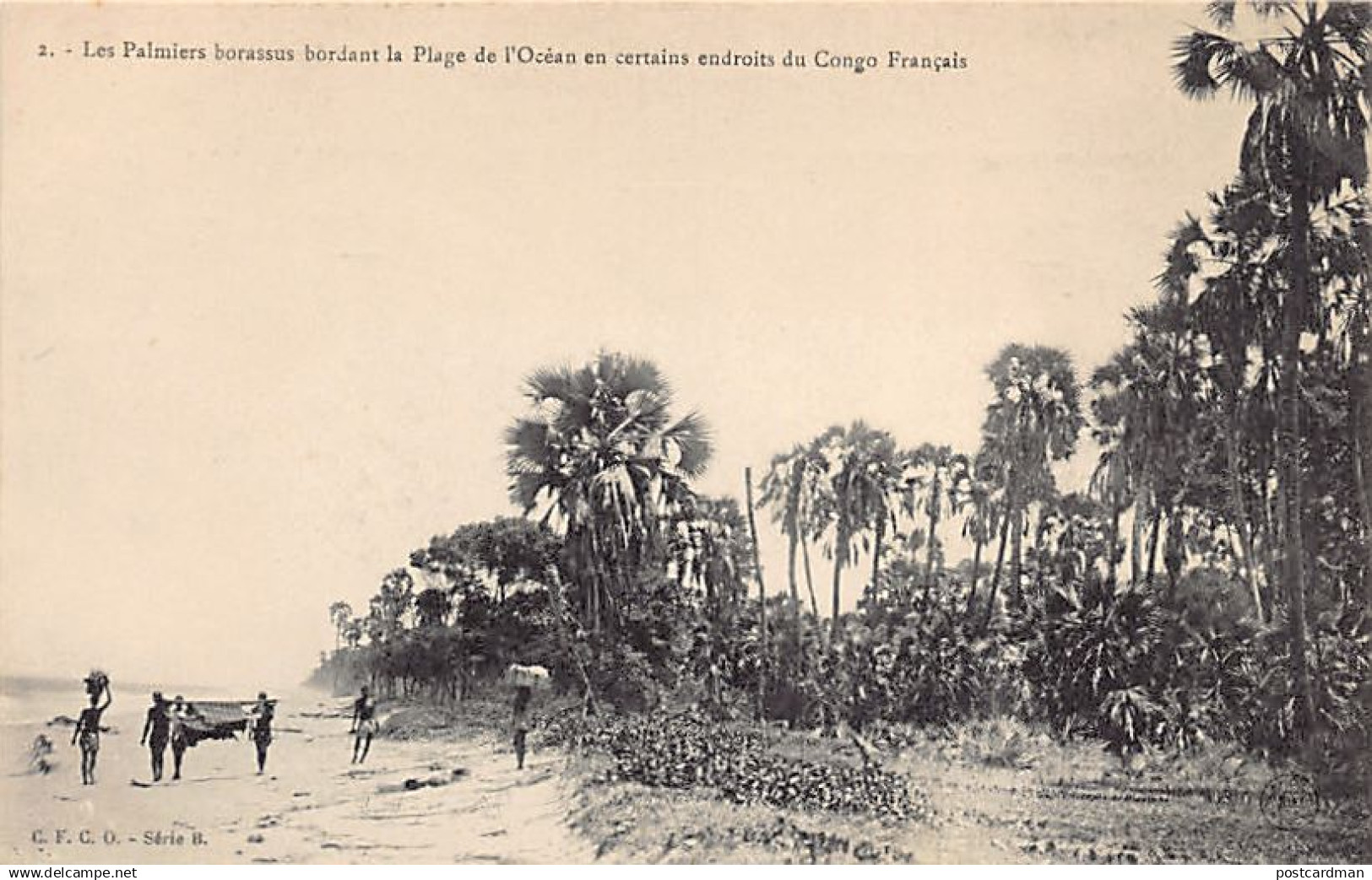 Congo Brazzaville - Les palmiers borassus bordant la plage de l'Océan en certains endroits du Congo Français - Ed. C.F.C