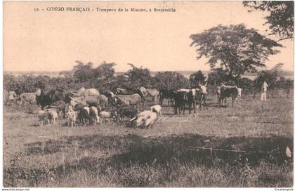 CPA Carte Postale Congo  Brazzaville Troupeau de la Mission à Brazzaville    VM86816