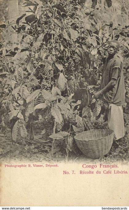 french congo, Harvest of Liberia Coffee (1900s) Postcard