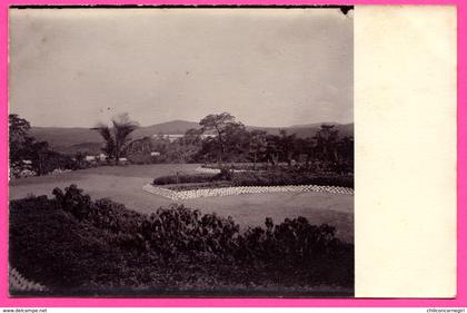 Cp Photo - Congo Français - Vue générale - Cocotiers