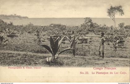 french congo, Plantation Lake Caijo (1900s) Postcard