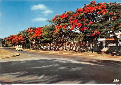 Congo Belge ZAIRE LUBUMBASHI Elizabethville Flamboyants en fleurs (Scans R/V) N° 40 \ML4039