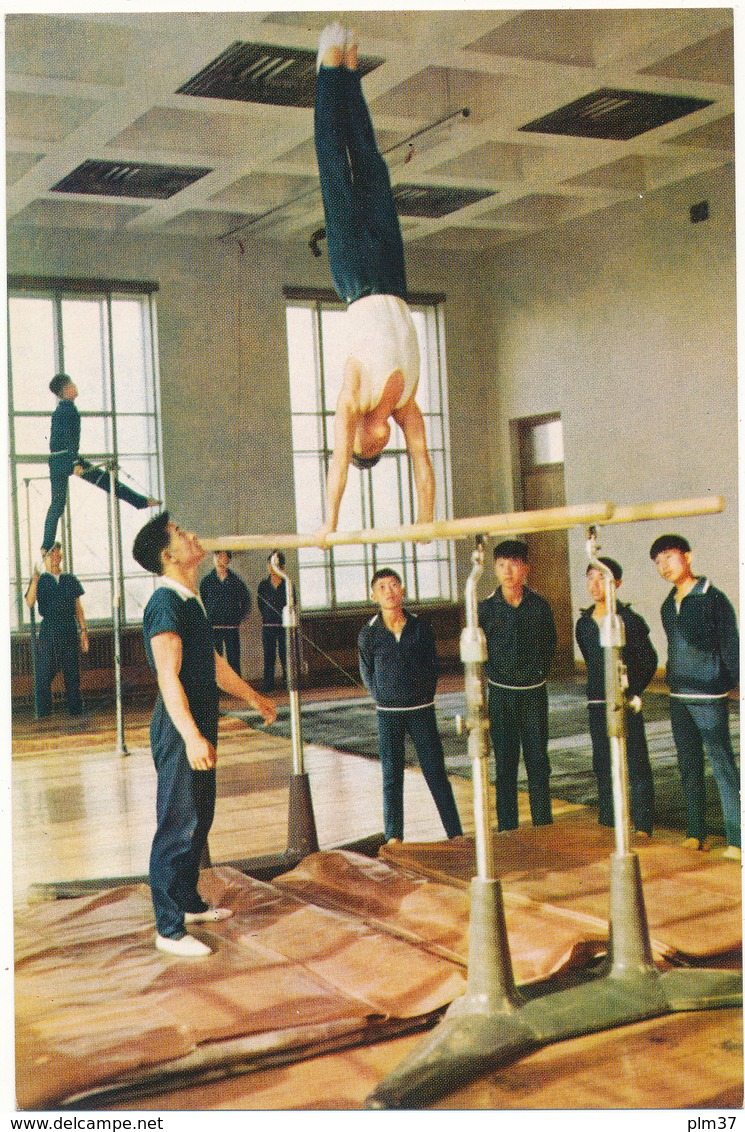 COREE DU NORD , PYONGYANG - Membres du Cercle Sportif, Gymnastes