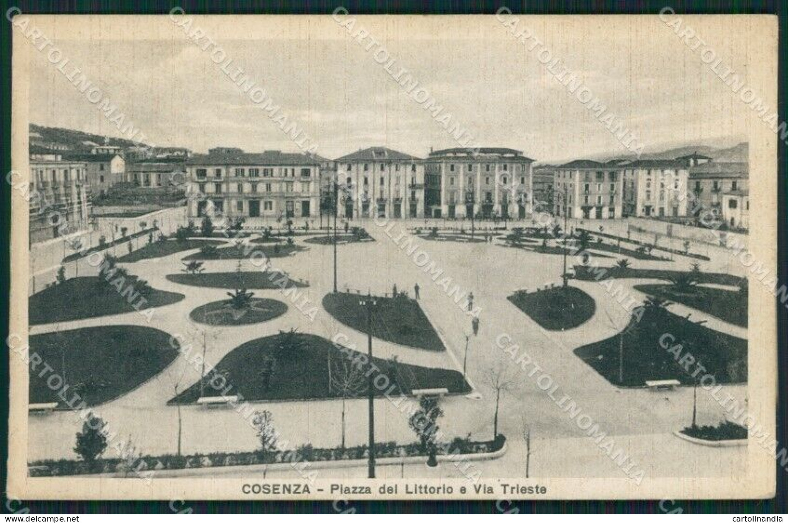 Cosenza città cartolina QZ3888