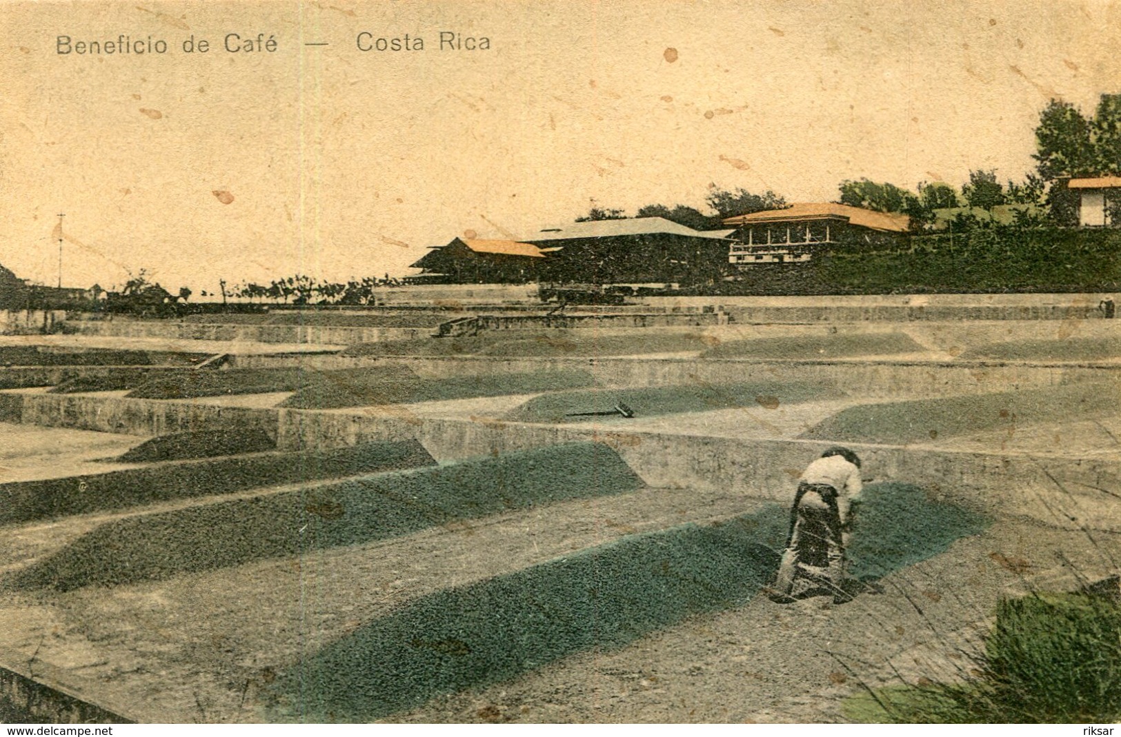 COSTA RICA(CAFE)