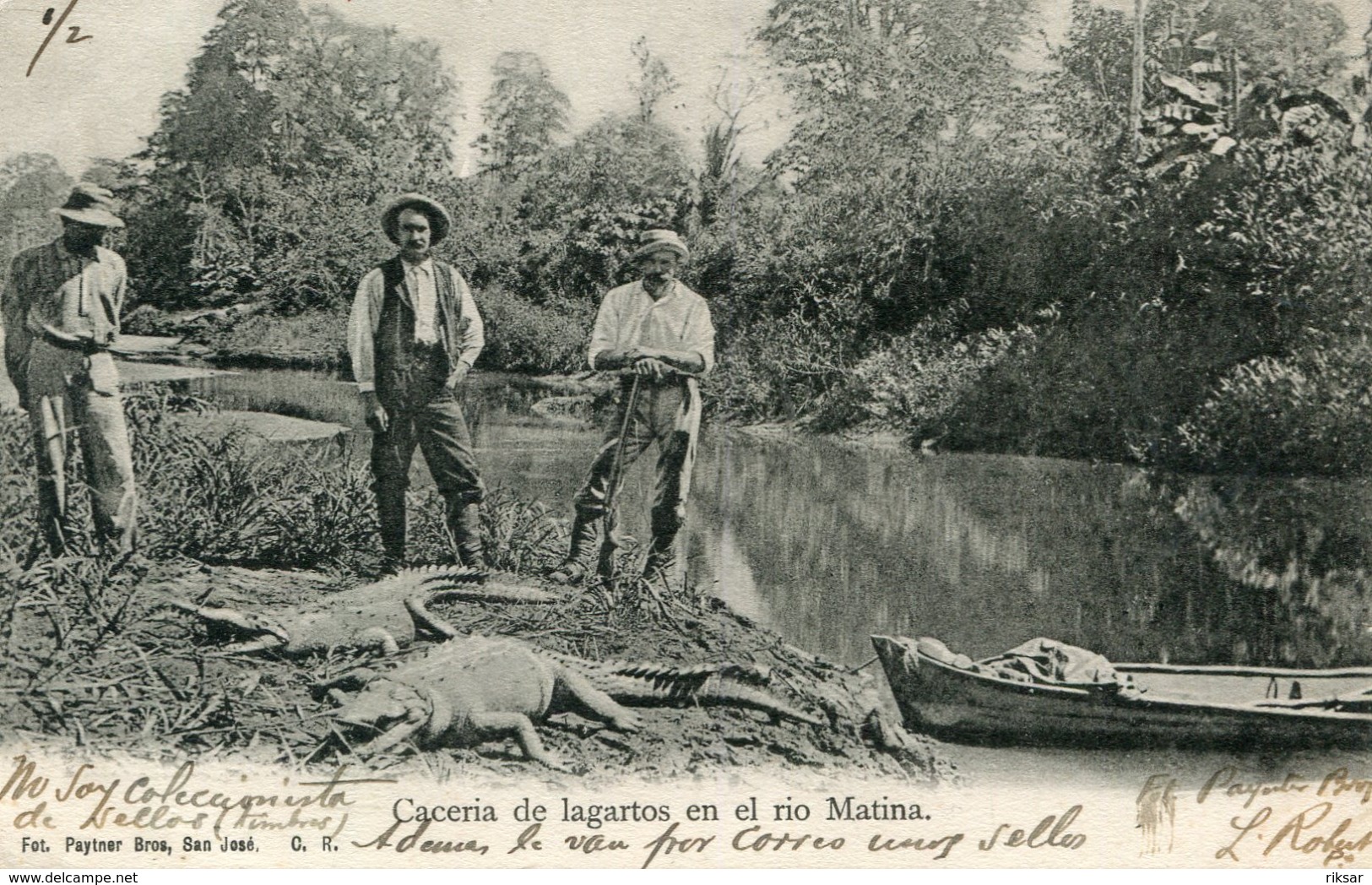 COSTA RICA(CAIMAN)