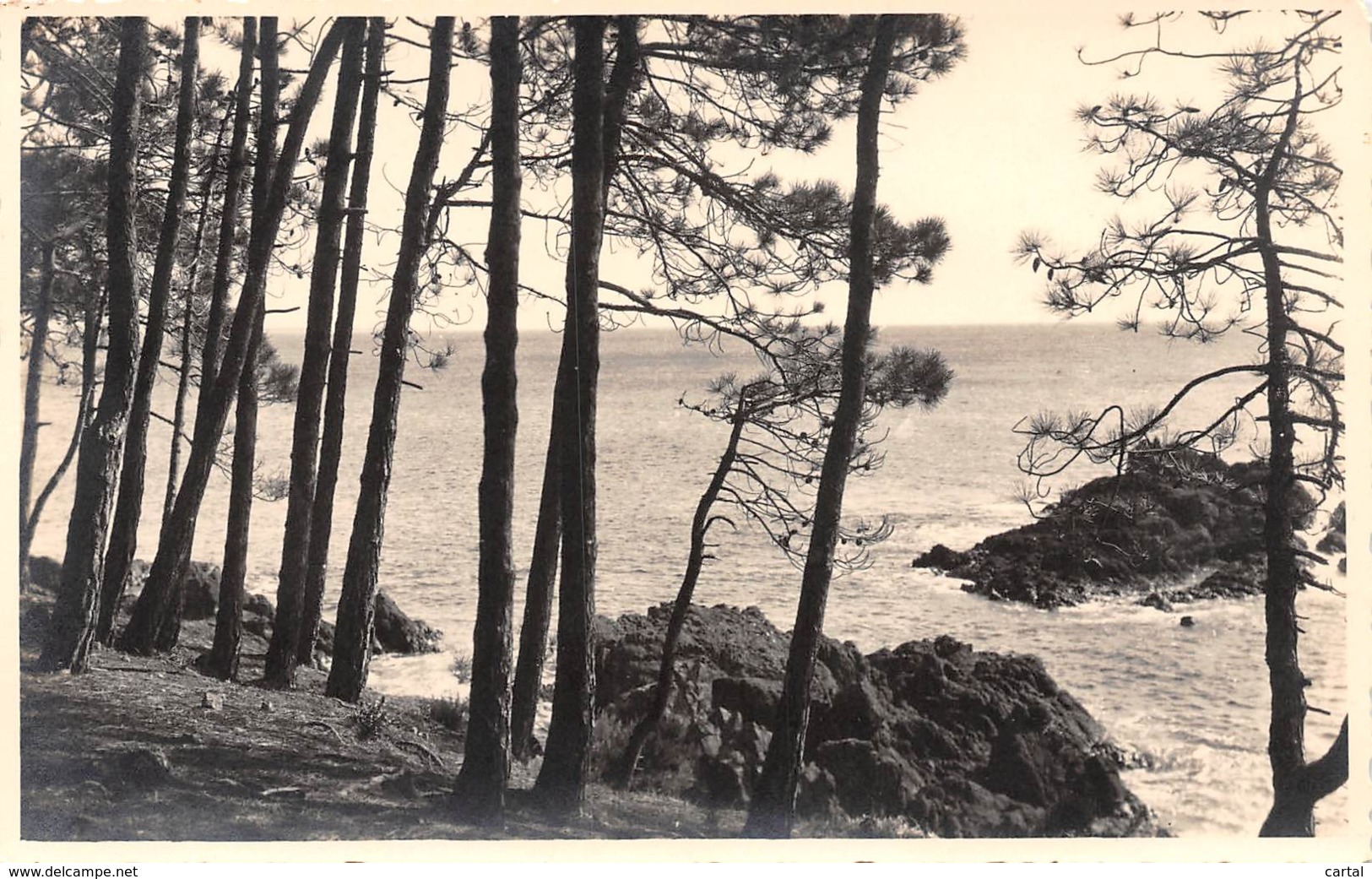 COTE D'AZUR - Dans l'Estérel