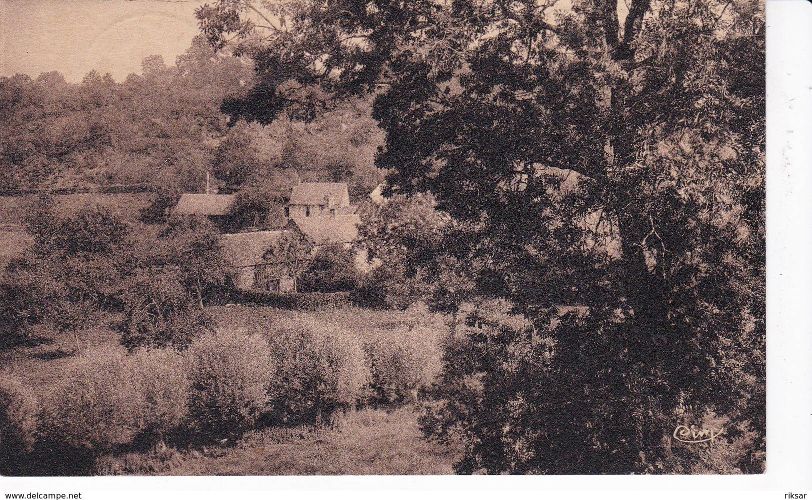 COUPTRAIN(MOULIN DE RONDEAU) ARBRE