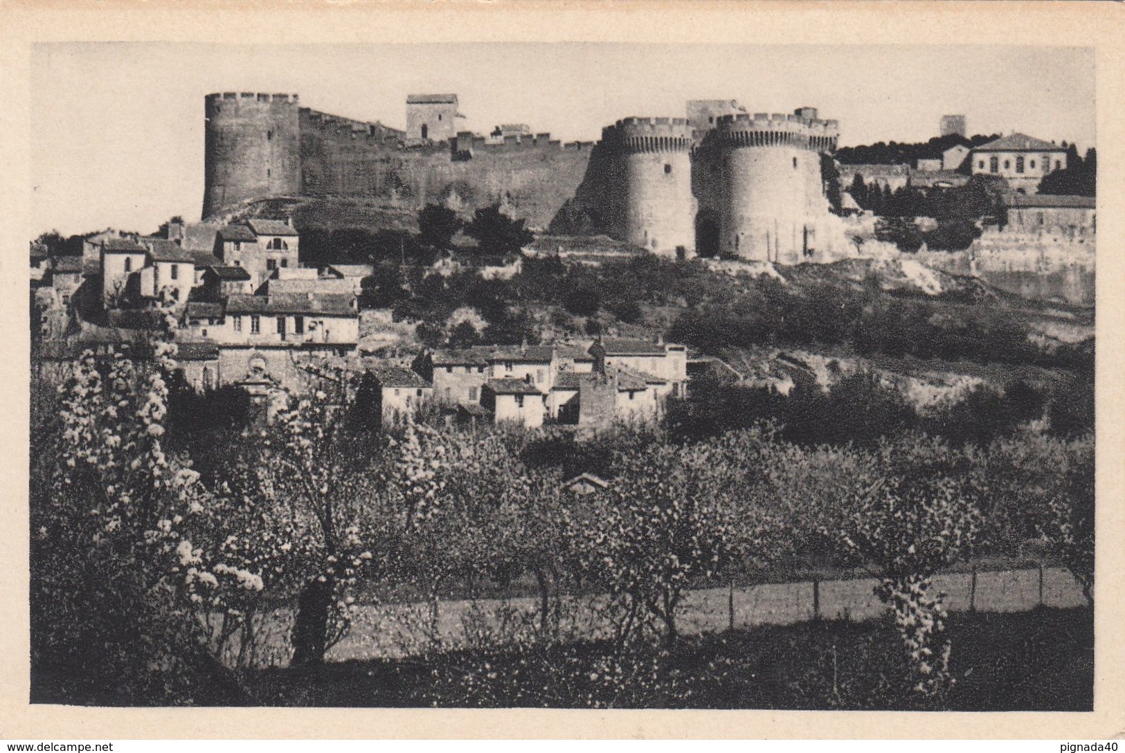 cp , 30 , VILLENEUVE-lès-AVIGNON , Le Fort Saint-André