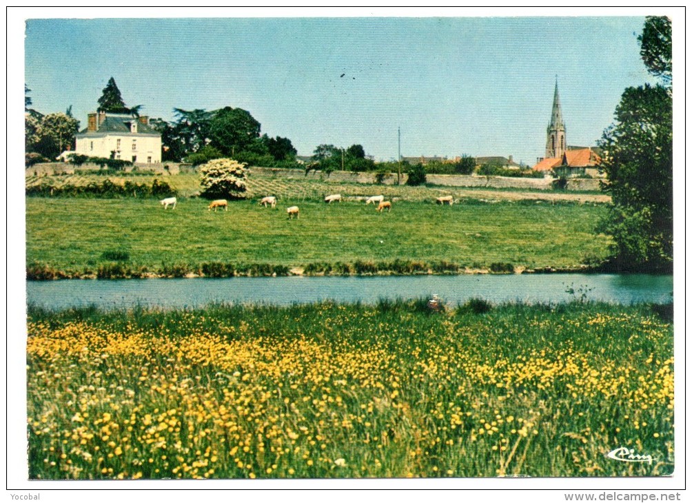 CP, 44, AIGREFEUILLE SUR MAINE, Aspect Champêtre du Bourg, écrite, voyagé en 1986