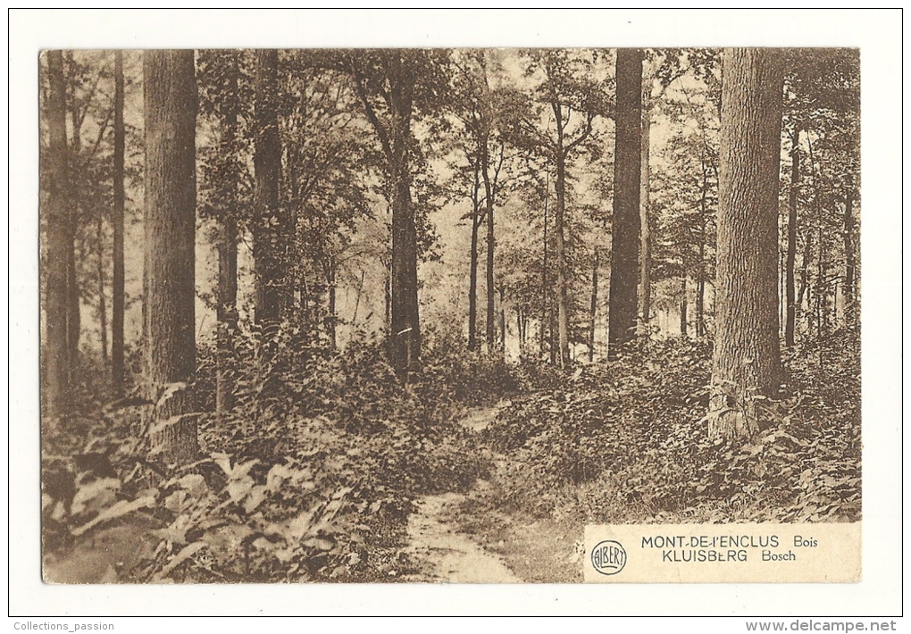 cp, Belgique, Mont de l'Enclus, Bois,  voyagée