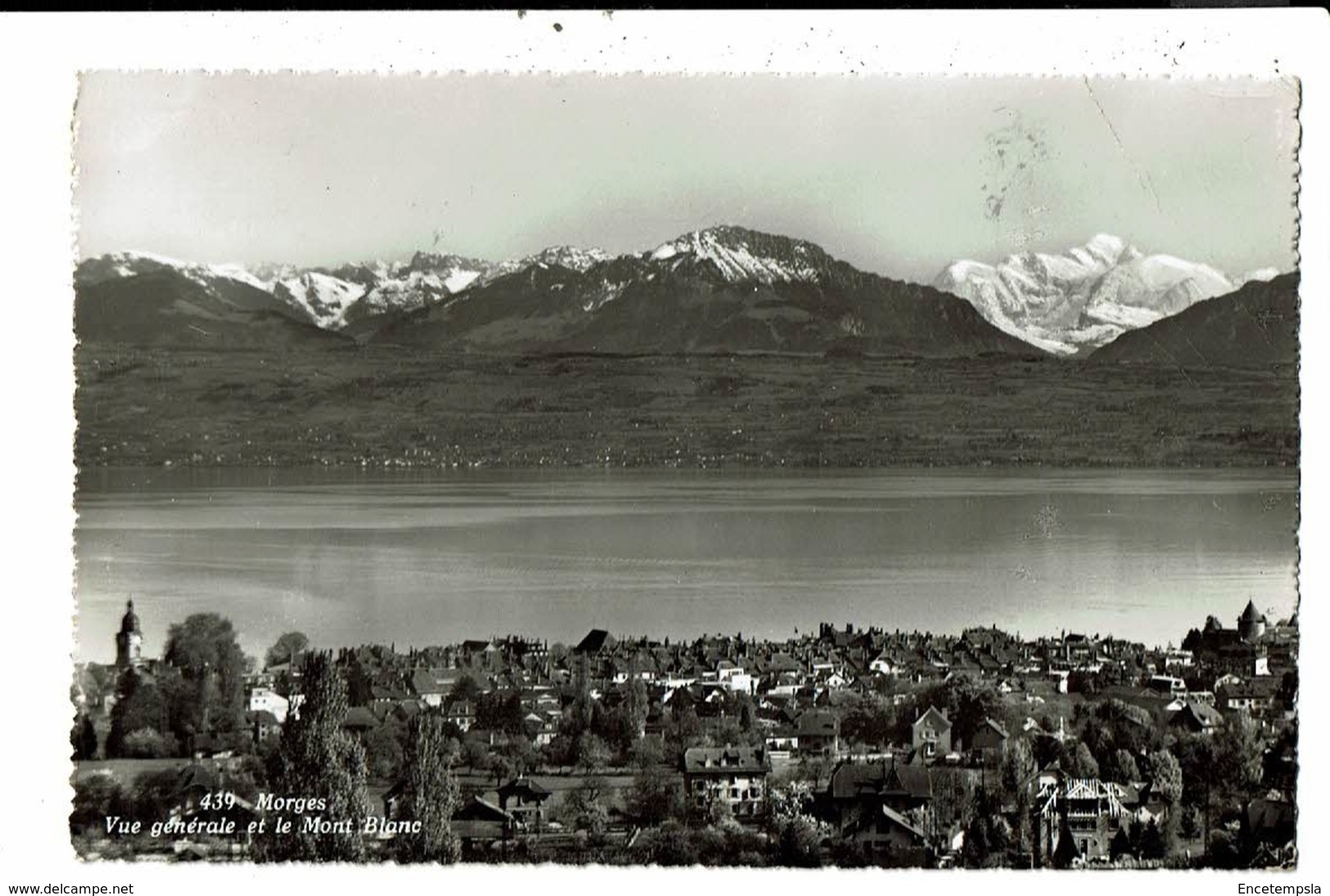 CP-Carte Postale-Suisse-Vaud-Morges- Vur sur le Mont Blanc-1958 VM9427