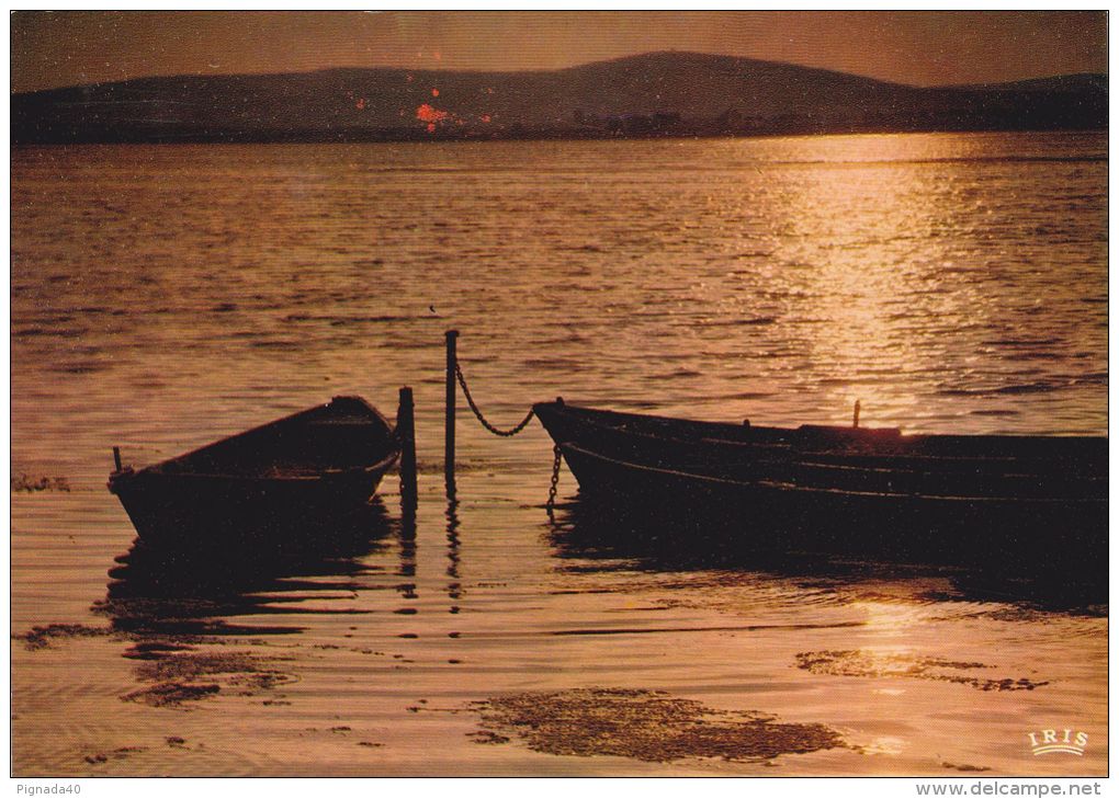 cp , RÉGIONS , LANGUEDOC-ROUSSILLON , Coucher de soleil sur l'étang de Thau , barques