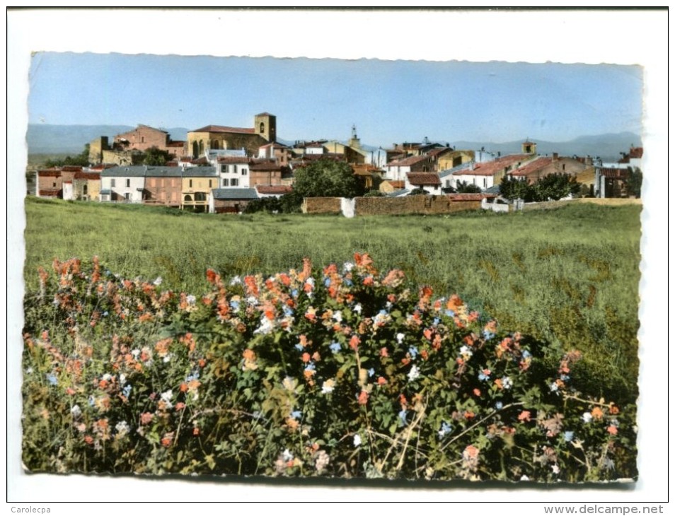 CP - ROQUEBRUNE SUR ARGENS (83) VUE GENERALE