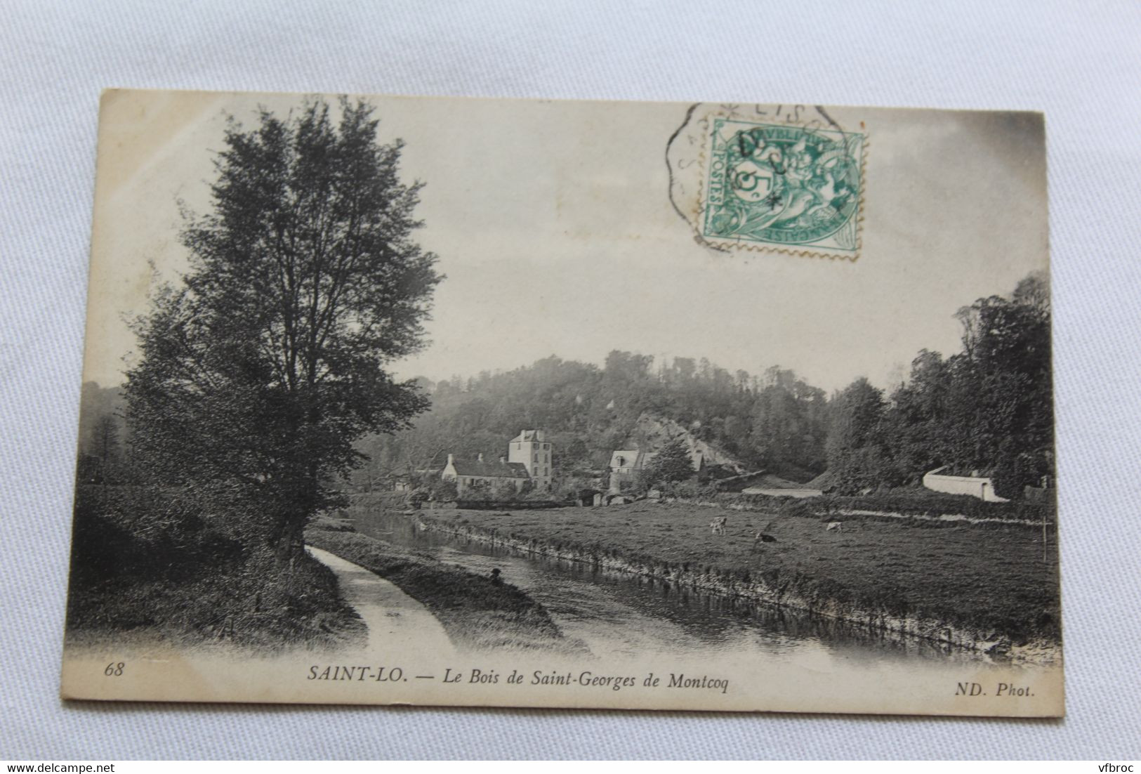 Cpa 1907, Saint Lo, le bois de saint Georges de Montcoq, Manche 50