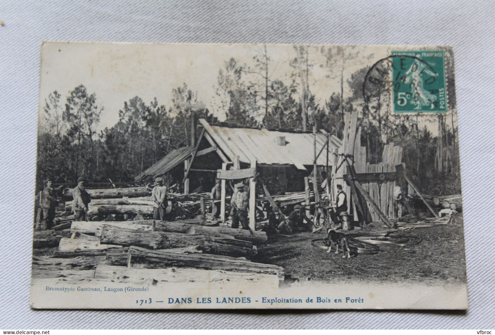 Cpa 1911, dans les Landes, exploitation de bois en forêt, Landes 40