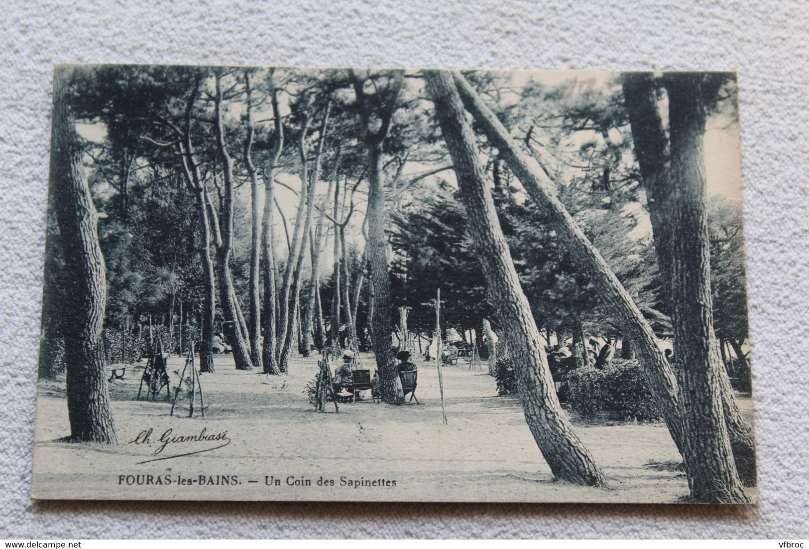 Cpa 1927, Fouras les bains, un coin des Sapinettes, Charente maritime 17