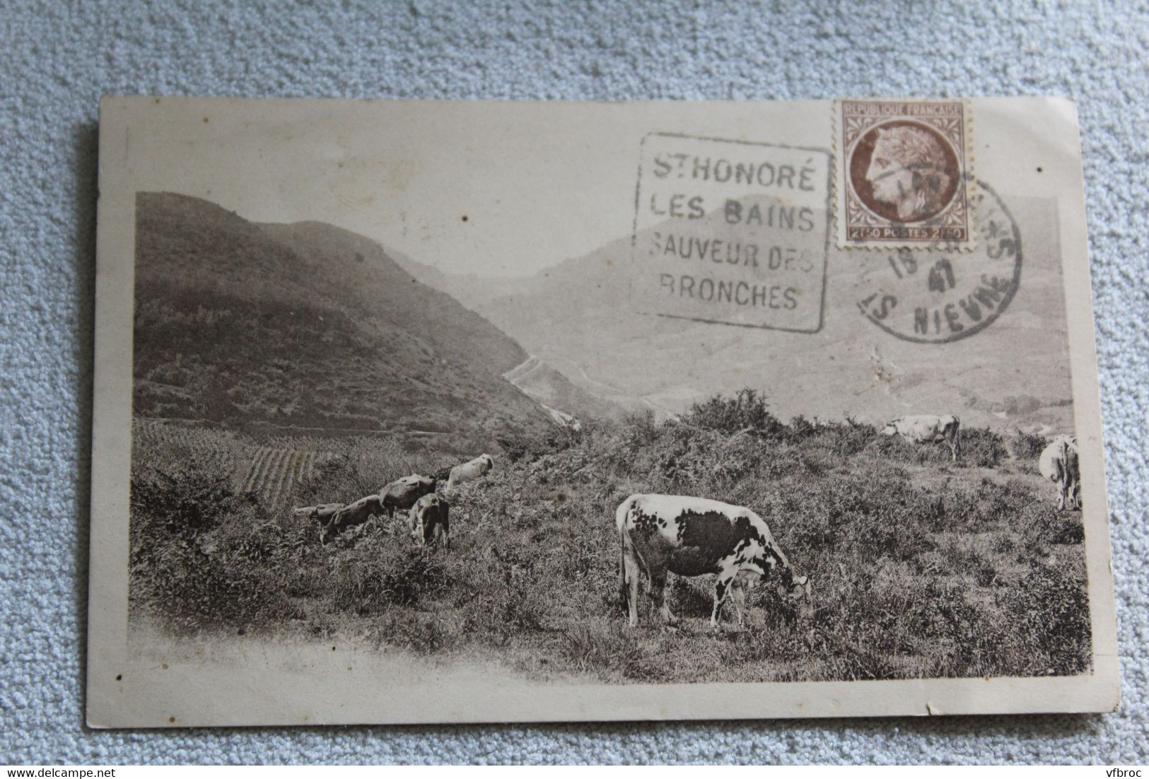 Cpa 1947, Saint Honoré les Bains, pâturage sur la vieille montagne, Nièvre 58