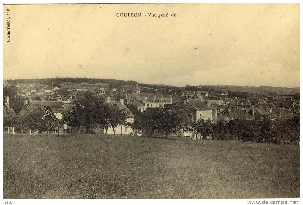 CPA (89)    COURSON LES CARRIERES  ( vue generale )