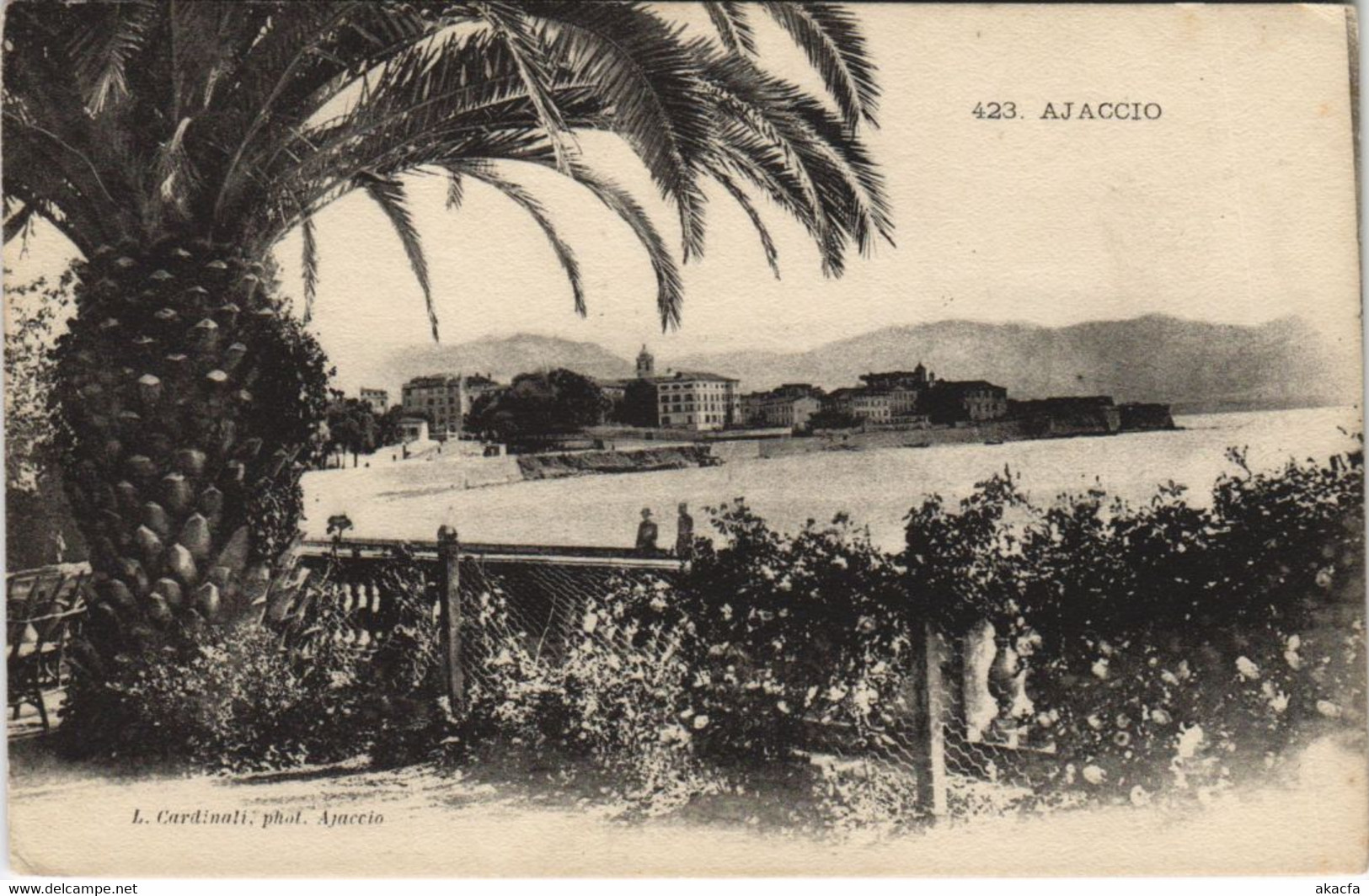 CPA Ajaccio CORSICA (1077550)