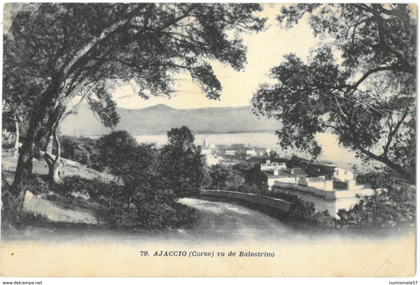 CPA AJACCIO vu de Balestrino - Ed. d'art A. Tomasi , Ajaccio n°79