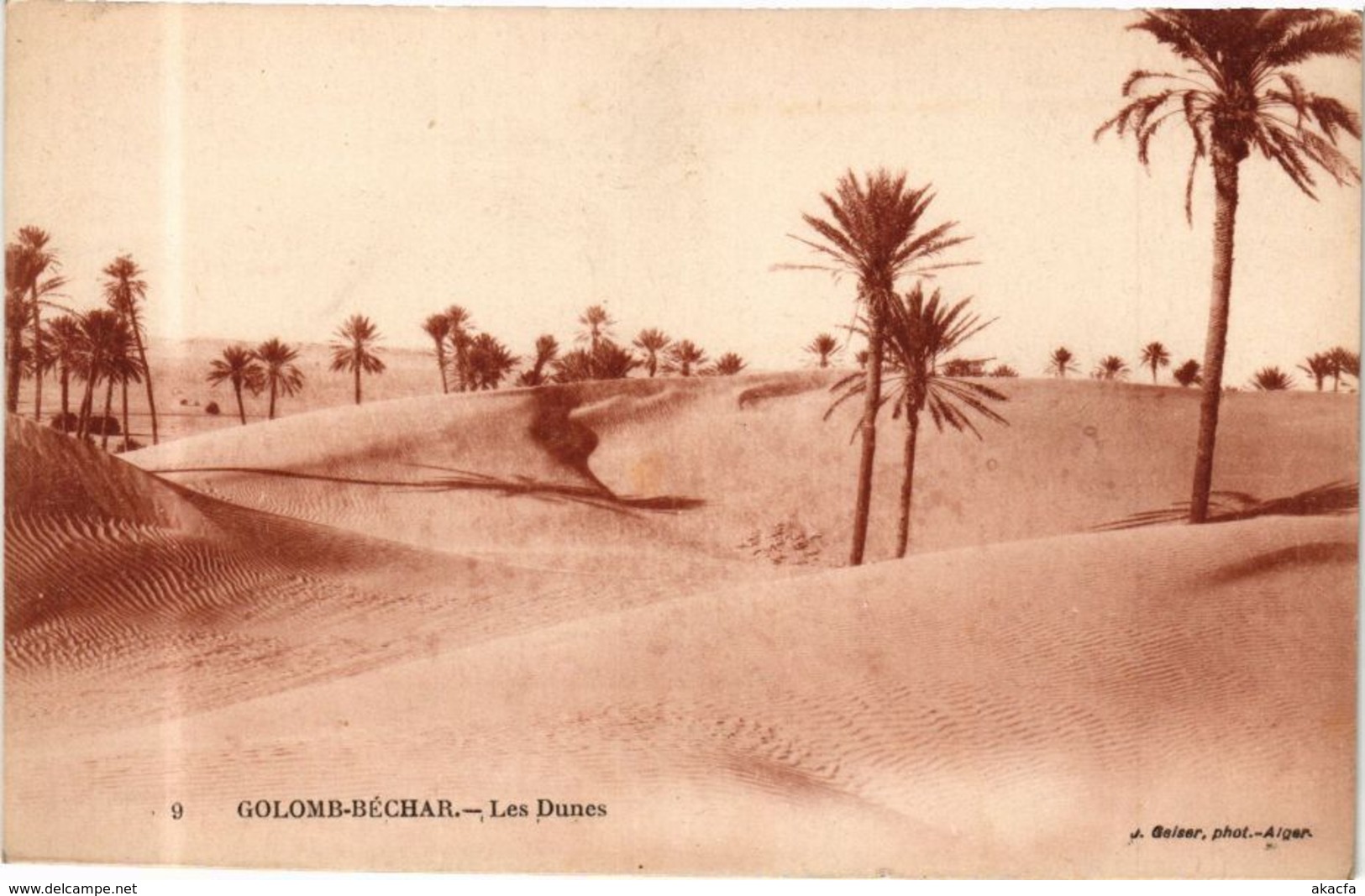 CPA AK Algérie-COLOMB-BÉCHAR-Les Dunes (238665)