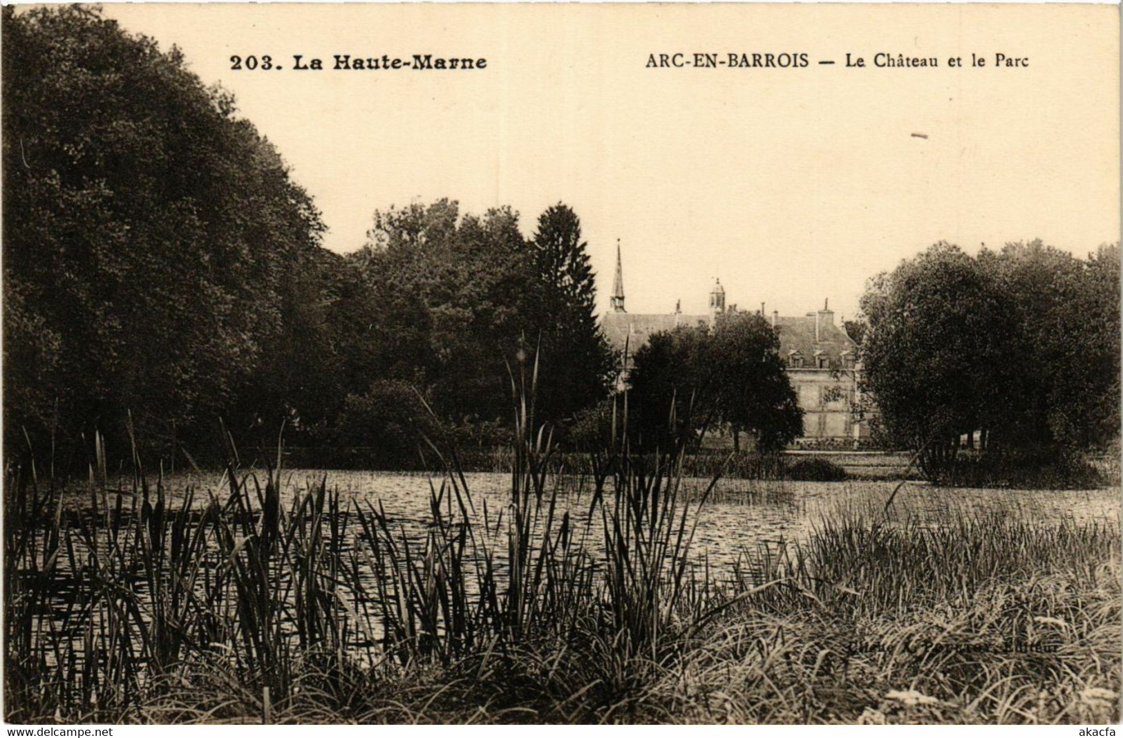 CPA AK ARC-en-BARROIS - Le chateau et le Parc (368342)