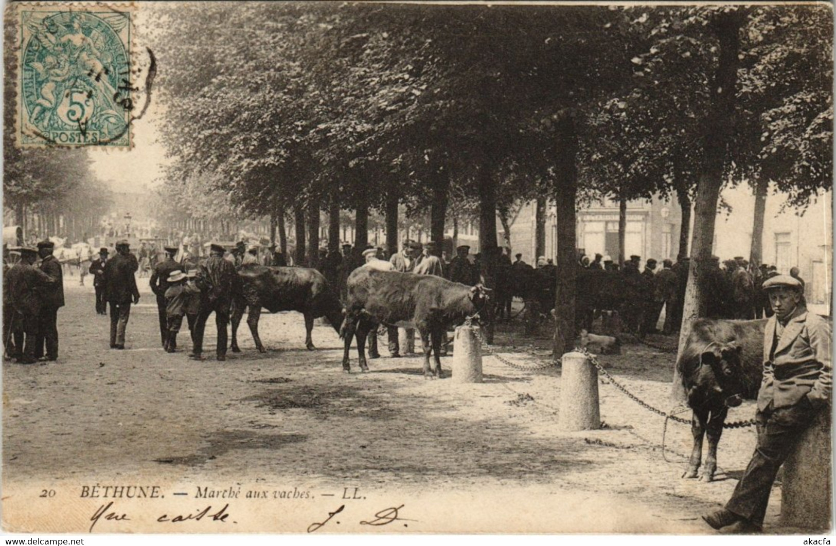 CPA AK BÉTHUNE - Marché aux vaches  (117068)