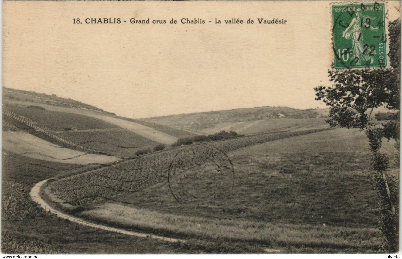 CPA AK Chablis Grand crus de Chablis FRANCE (1176074)