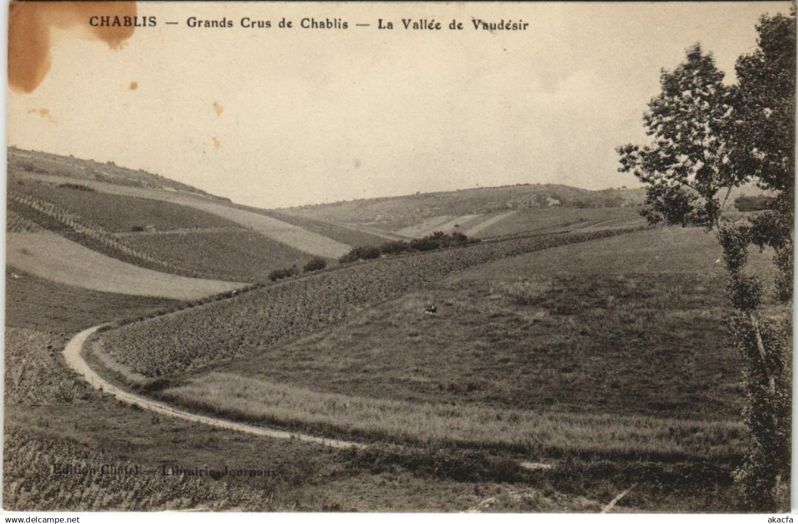 CPA AK Chablis Grands Crus de Chablis FRANCE (1176069)