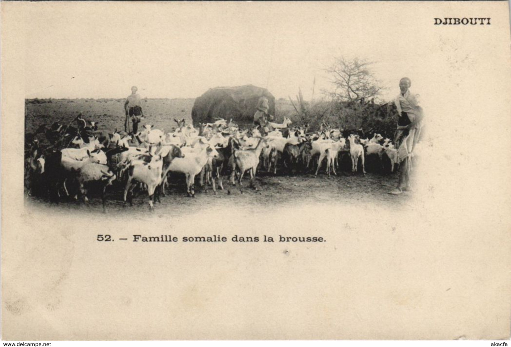 CPA AK Famille Somalie dans la Brousse DJIBOUTI (1084531)