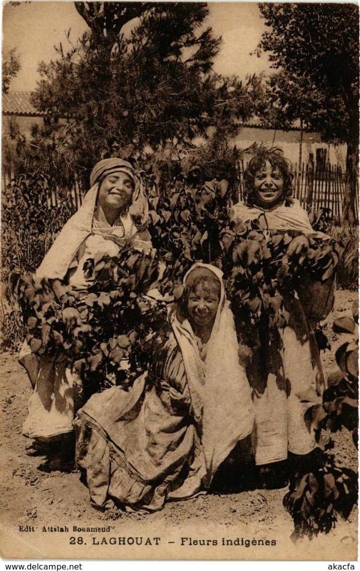 CPA AK Laghouat- Fleurs Indigenes ALGERIE (812479)